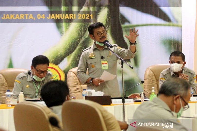 Kementan Akan Lipatgandakan Produksi Kedelai Dalam 200 Hari