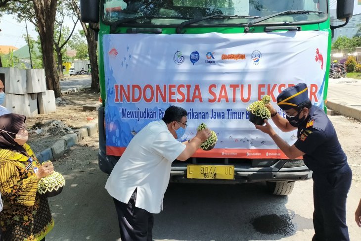 Ekspor Produk Perikanan Melalui BKIPM Surabaya Capai Rp115 Miliar