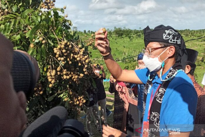 Menparekraf Sandiaga