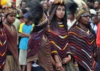 Pakaian Adat Papua