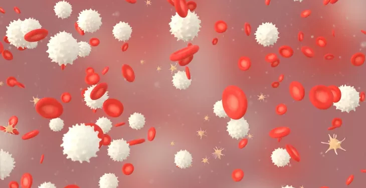 Penyebab Trombosit Turun