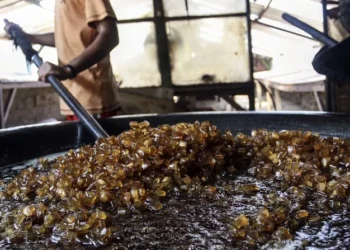 Kuliner Khas Garut yang Populer
