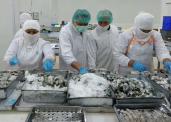 Emil Dardak Puji Pabrik Ekspor RUM Seafood