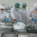 Emil Dardak Puji Pabrik Ekspor RUM Seafood