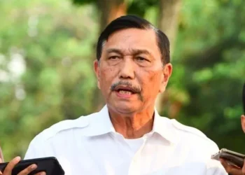 Luhut Menegaskan Kenaikan PPN 12% Akan Ditunda