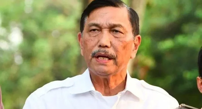 Luhut Menegaskan Kenaikan PPN 12% Akan Ditunda