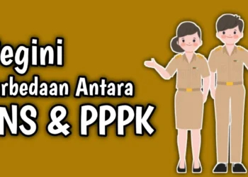 Perbedaan P3K dan PNS