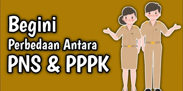 Perbedaan P3K dan PNS