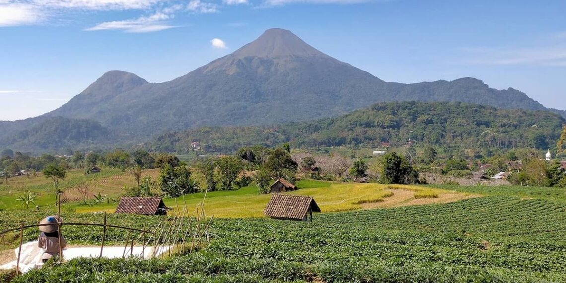 Tips Trekking Gunung Penanggungan untuk Pemula