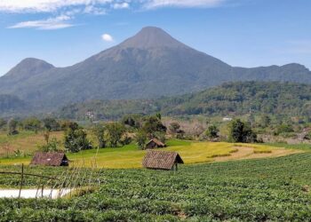 Tips Trekking Gunung Penanggungan untuk Pemula