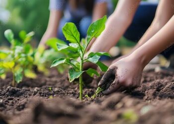 Komunitas Pecinta Alam: Aksi Nyata Menjaga Lingkungan