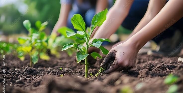 Komunitas Pecinta Alam: Aksi Nyata Menjaga Lingkungan