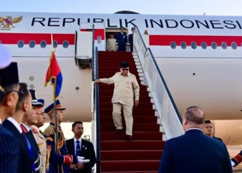 Warga Mesir Kagumi Presiden RI Pembawa Perdamaian