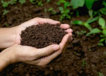 Refleksi Indonesia di Hari Tanah Sedunia