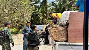 Patroli lintas Batas Indonesia-Malaysia Gagalkan Penyelundupan Ratusan Tanaman Dilindungi